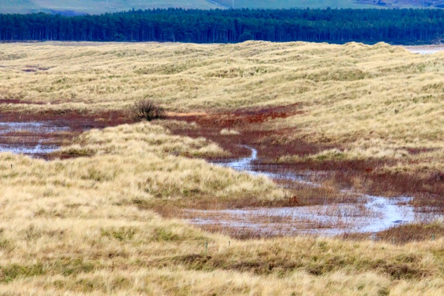 Coul Links Small-0613