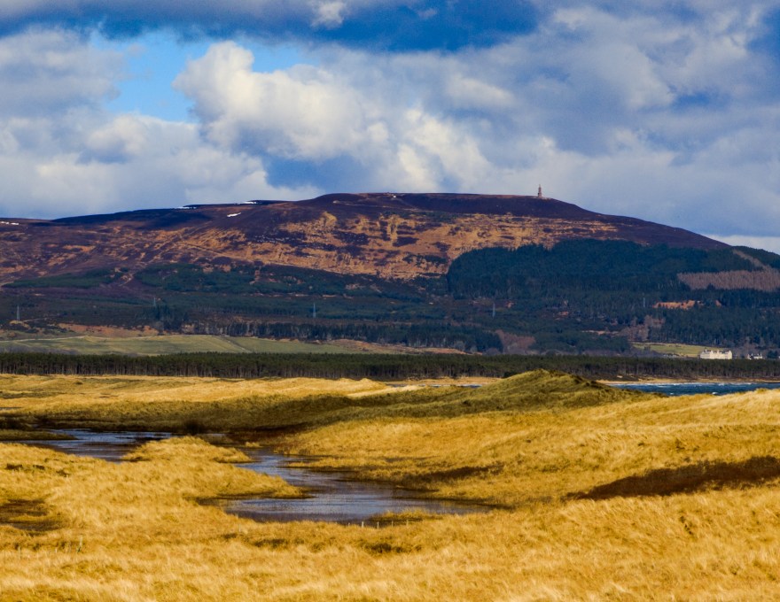 Coul_Embo_N_31Mar18-4428