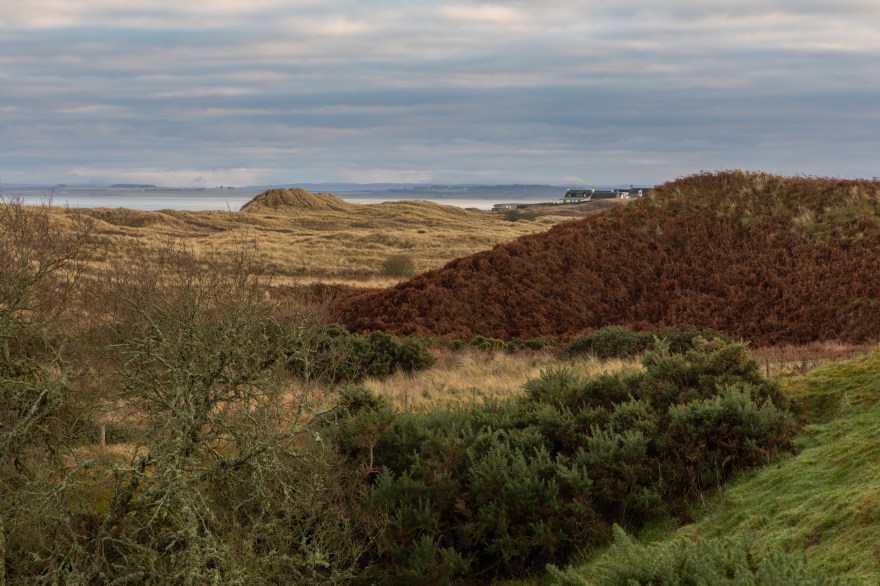 Coul Links Great Dunes-0231