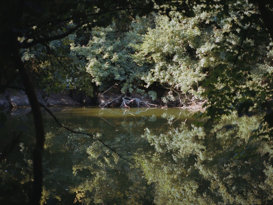 Campbell LANDINGS-11 2018