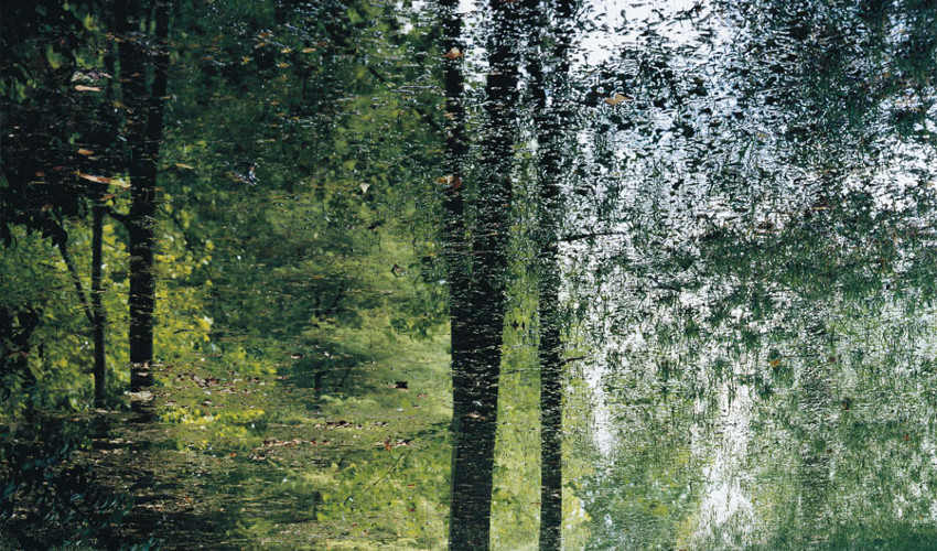 Axel-Hütte-Aranjuez-02-2006-detail